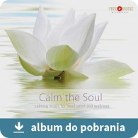 Calm The Soul MaH 11 MP3 – Spokój Duszy (RFM) online