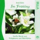 Im Frühling Arnd Stein - Wiosna muzyka relaksacyjnabez opłat MP3 do pobrania