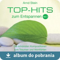 Top hits 3 P3 - Przeboje VTM cz. 3 (RFM) muzyka do pobrania