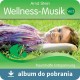 Muzyka wellness 2 muzyka relaksacyjna bez opłat Zaiks MP3 do pobrania