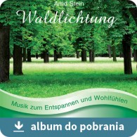 Waldlichtung MP3 - Leśna polana (RFM) muzyka do pobrania