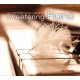 Twittering Piano MP3 - Ćwierkający fortepian muzyka relaksacyjna o pobrania
