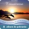 Traumreise MP3 - Podróż marzeń (RFM) muzyka do pobrania