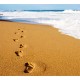 Traumhafte Stunden am Meer MP3 - Cudownie  nad morzem muzyka do pobrania