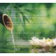Asian Zen Garden MP3 - muzyka bez opłat do pobrania 