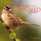 Songbird Suite - Śpiewający fortepian (RFM)