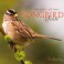 Songbird Suite - Śpiewający fortepian (RFM)