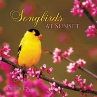 Songbirds At Sunset - Śpiew ptaków o zachodzie (RFM)