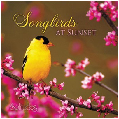Songbirds At Sunset - Śpiew ptaków o zachodzie (RFM)