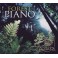 Forest Piano 30th - Leśny fortepian 30-lecie (RFM) muzyka z naturą