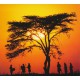 Afrykańskie marzenia MP3 - African Dreams muzyka relaksacyjna świata